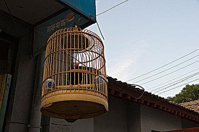 传《光环》多个新作已在测试 今年至少会公布一款